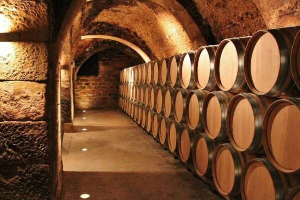 Las 7 Mejores Bodegas Para Visitar En La Rioja